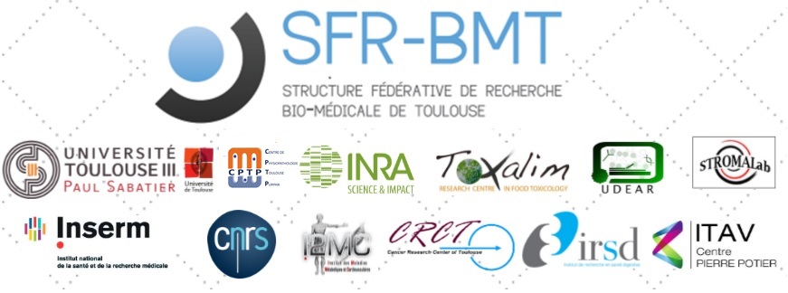 SFR-BMT